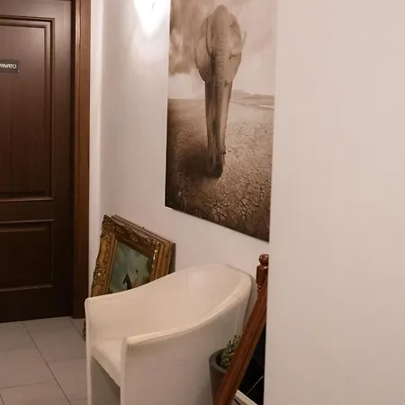 招待所 Flowers 罗马