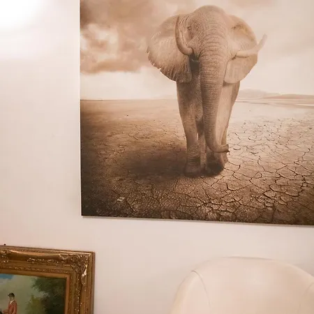 招待所 Flowers 罗马